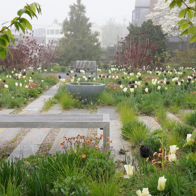 Reclaimed granite paths weave through a meadow of tulips and Geum, blending structured hardscape with seasonal, naturalistic planting.