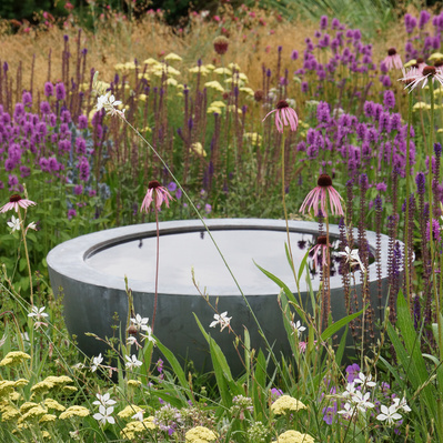A still water bowl anchors a vibrant planting of Echinacea, Stachys, and Achillea at Redstone Lane, inviting quiet reflection.