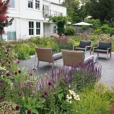 A layered tapestry of color and texture frames the terrace, seamlessly blending structured space with immersive naturalistic planting.