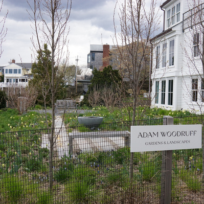 A naturalistic meadow with early spring bulbs and structured hardscape elements defines this Adam Woodruff-designed coastal landscape.