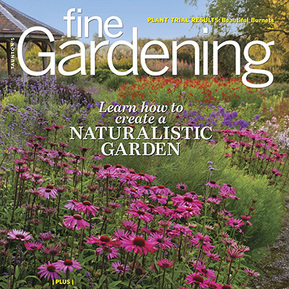 Adam Woodruff's work featured in Fine Gardening (Sept/Oct 2021) alongside Piet Oudolf & Thomas Rainer in 'Naturalistic Planting' by Steve Aitken.