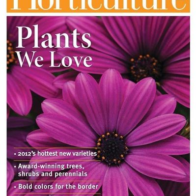 The Gardens at Bank of Springfield featured in Horticulture magazine, highlighting bold plant compositions and award-winning design.