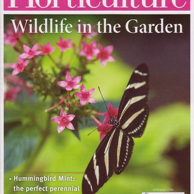 Walnut Street Garden featured in Horticulture, highlighting its vibrant plantings and wildlife-friendly design.