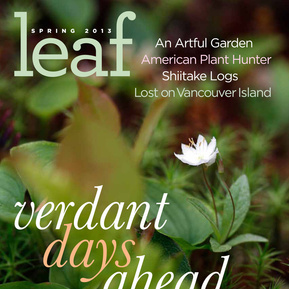 Leaf Magazine, Spring 2013 – Adam Woodruff contributed insights on artful landscapes in Art Beneath the Open Sky.