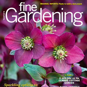 Fine Gardening, Feb 2021 – Adam Woodruff shared expert plant selection tips in Regional Picks: Plants to Build a Bed Around.