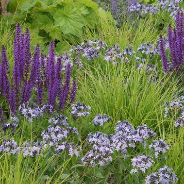 matrix planting