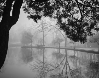 Photo on a misty, foggy morning shot with a Fujifilm X-T3 and Fujifilm 23mm f/2 lens