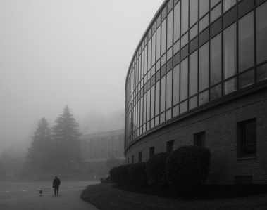 Photo on a misty, foggy morning shot with a Fujifilm X-T3 and Fujifilm 23mm f/2 lens