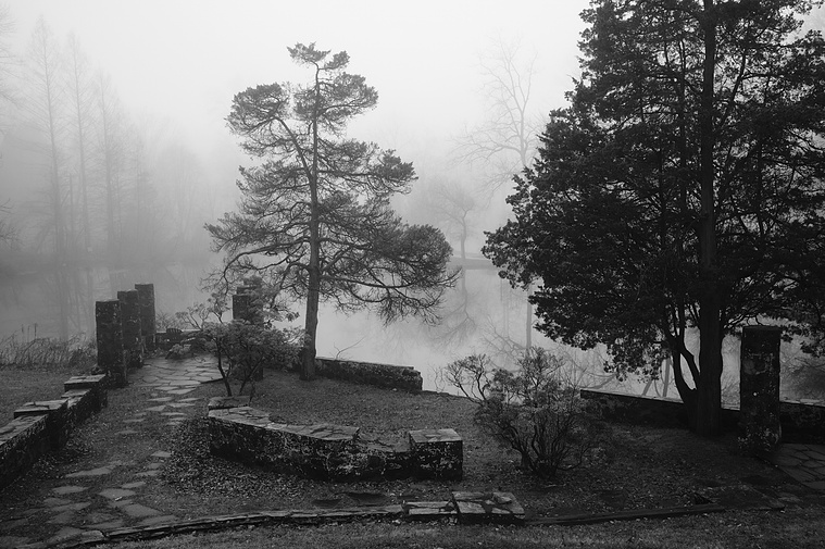Photo of a pond on a misty, foggy morning shot with a Fujifilm X-T3 and Fujifilm 23mm f/2 lens