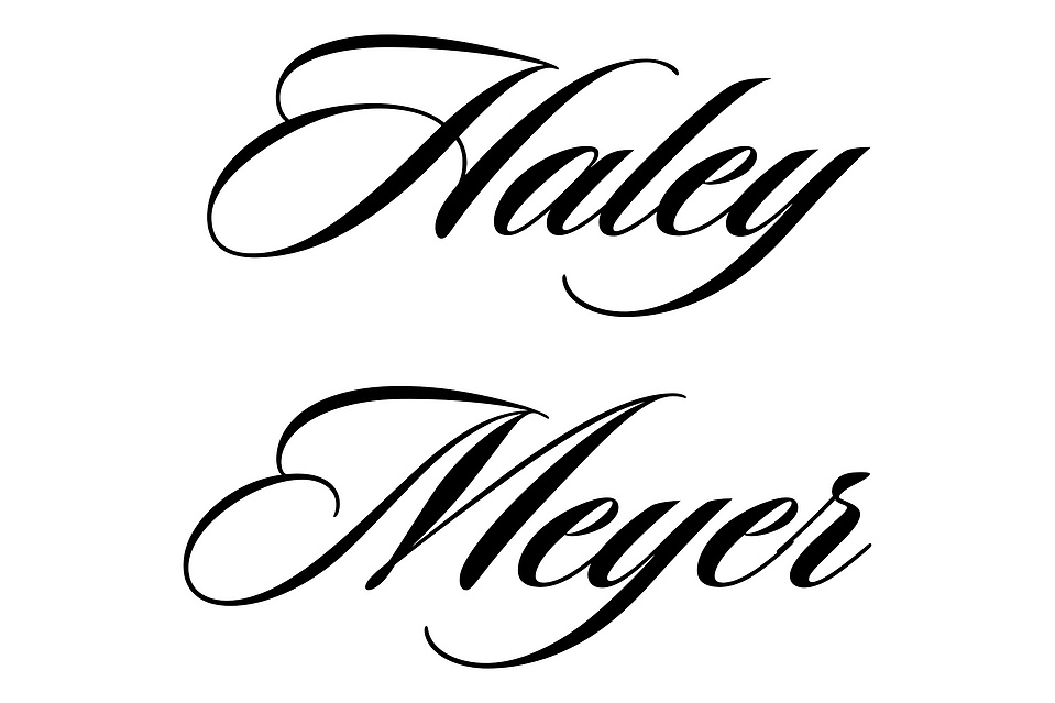 Haley Meyer's Portfolio