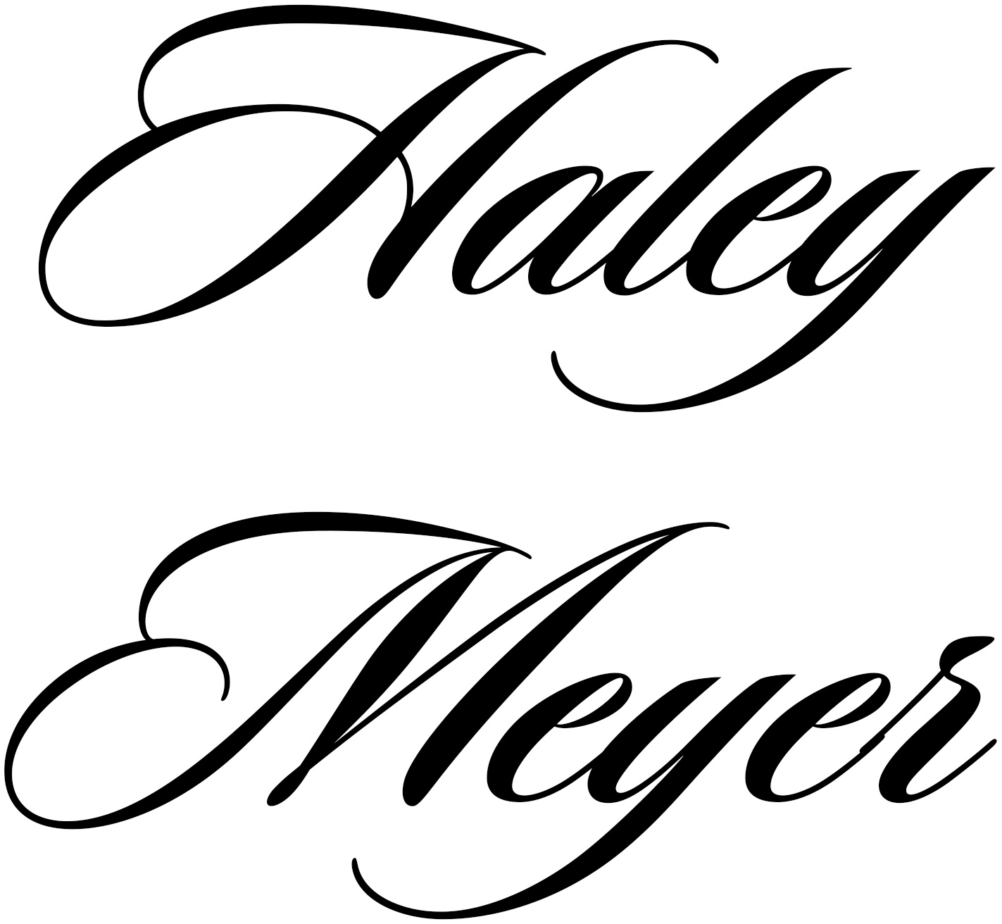 Haley Meyer's Portfolio