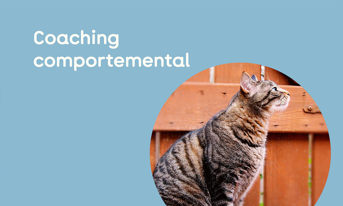 Coaching comportemental, Ain, Univers-Animal 
élément déclencheur du comportement dérangeant afin de dissiper chaque tension.