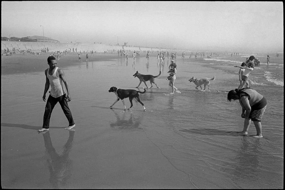 Nicholas Blair photography copyright 1977, black and white, Ocean Beach, dogs, water