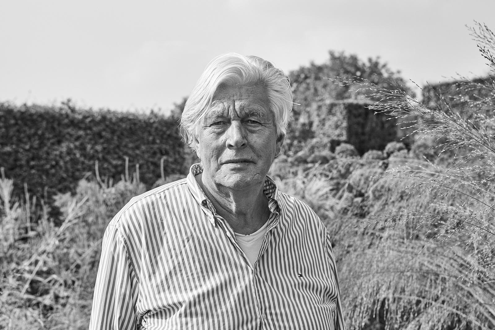 piet oudolf portrait