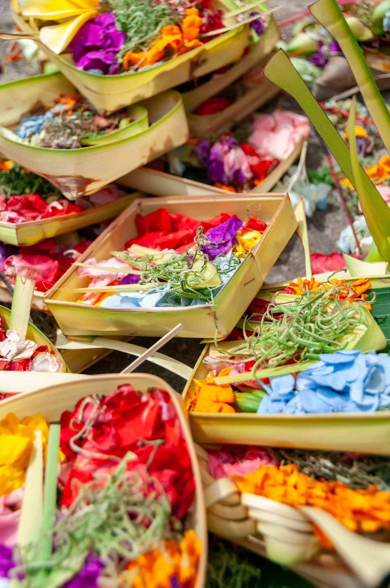 Flower offerings at Tirta Empul Holy Springs, Bali, Indonesia