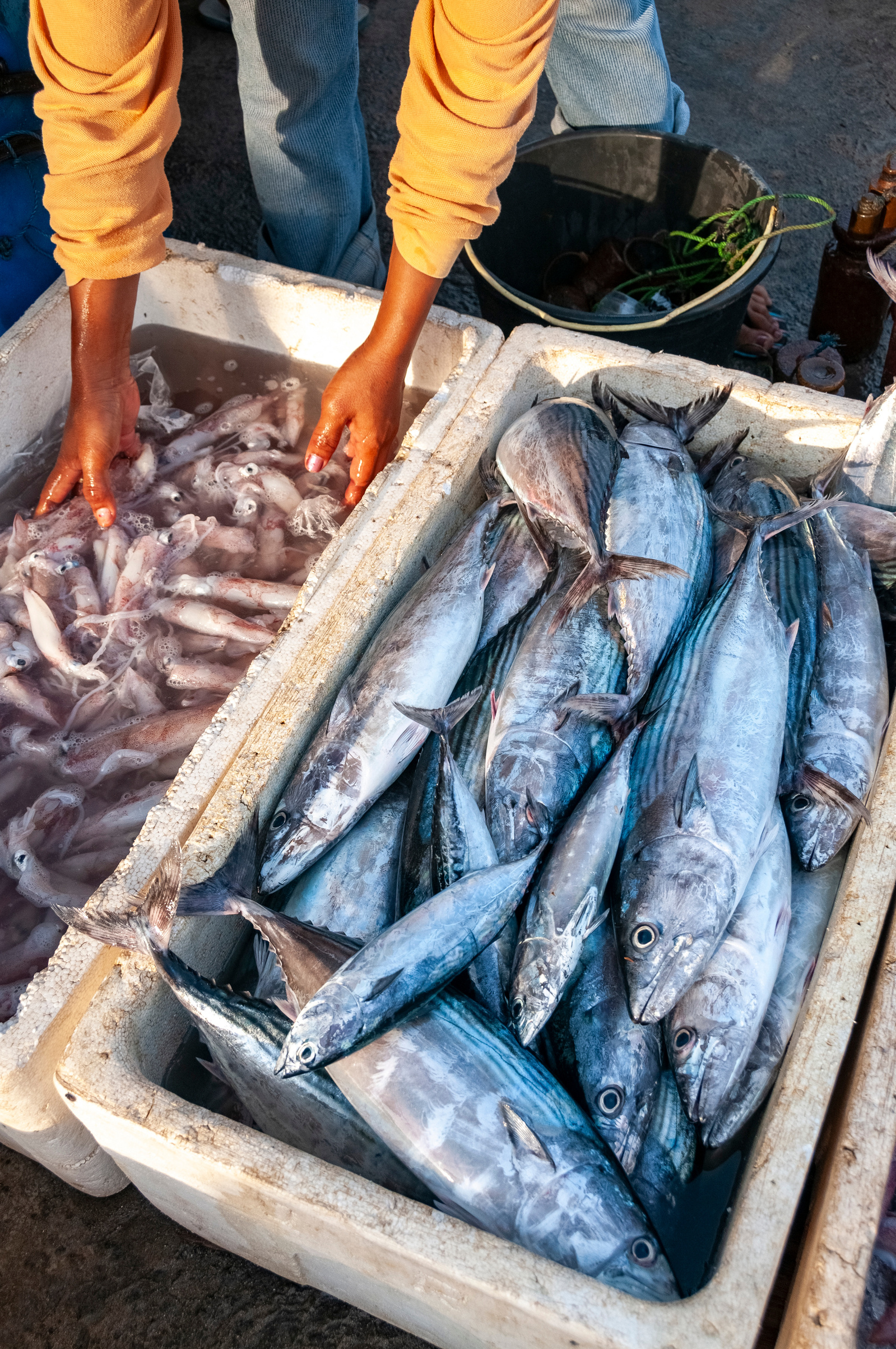 Freshly caught fish at market, Jimbaran Beach, Bali, Indonesia