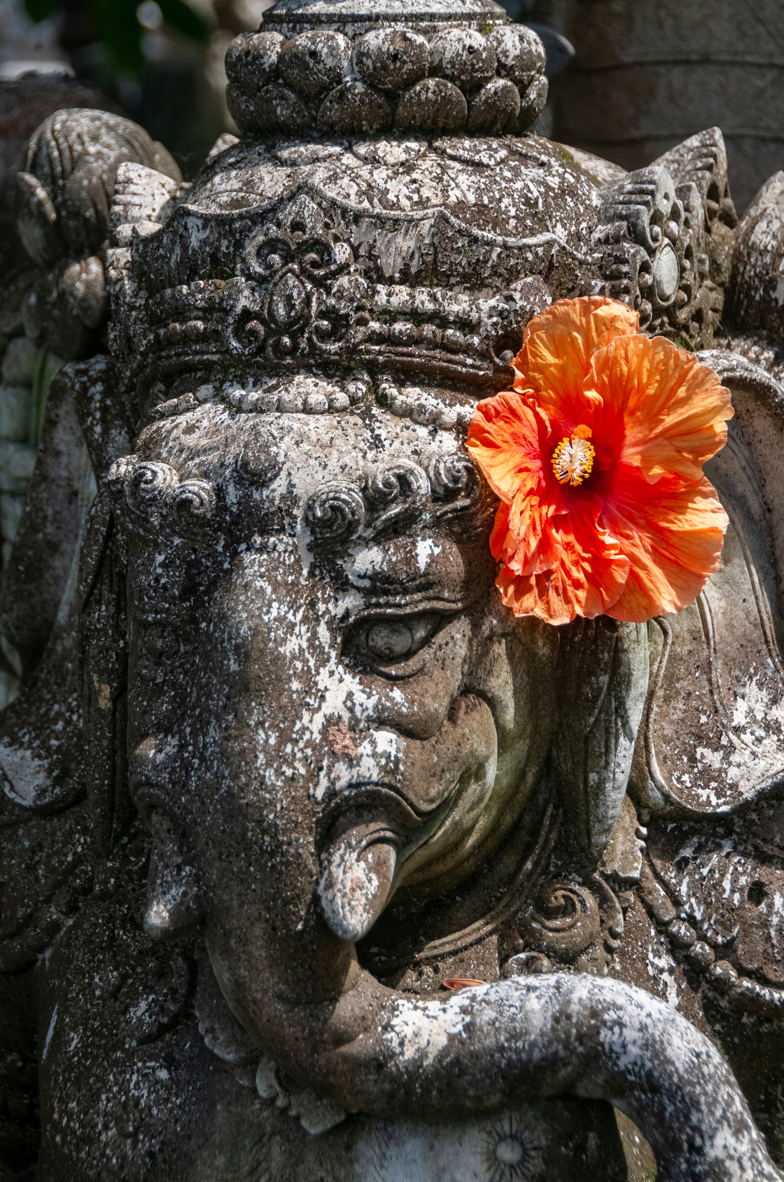 Stone hindu statue of Ganesh with orange flower, Bali, Indonesia