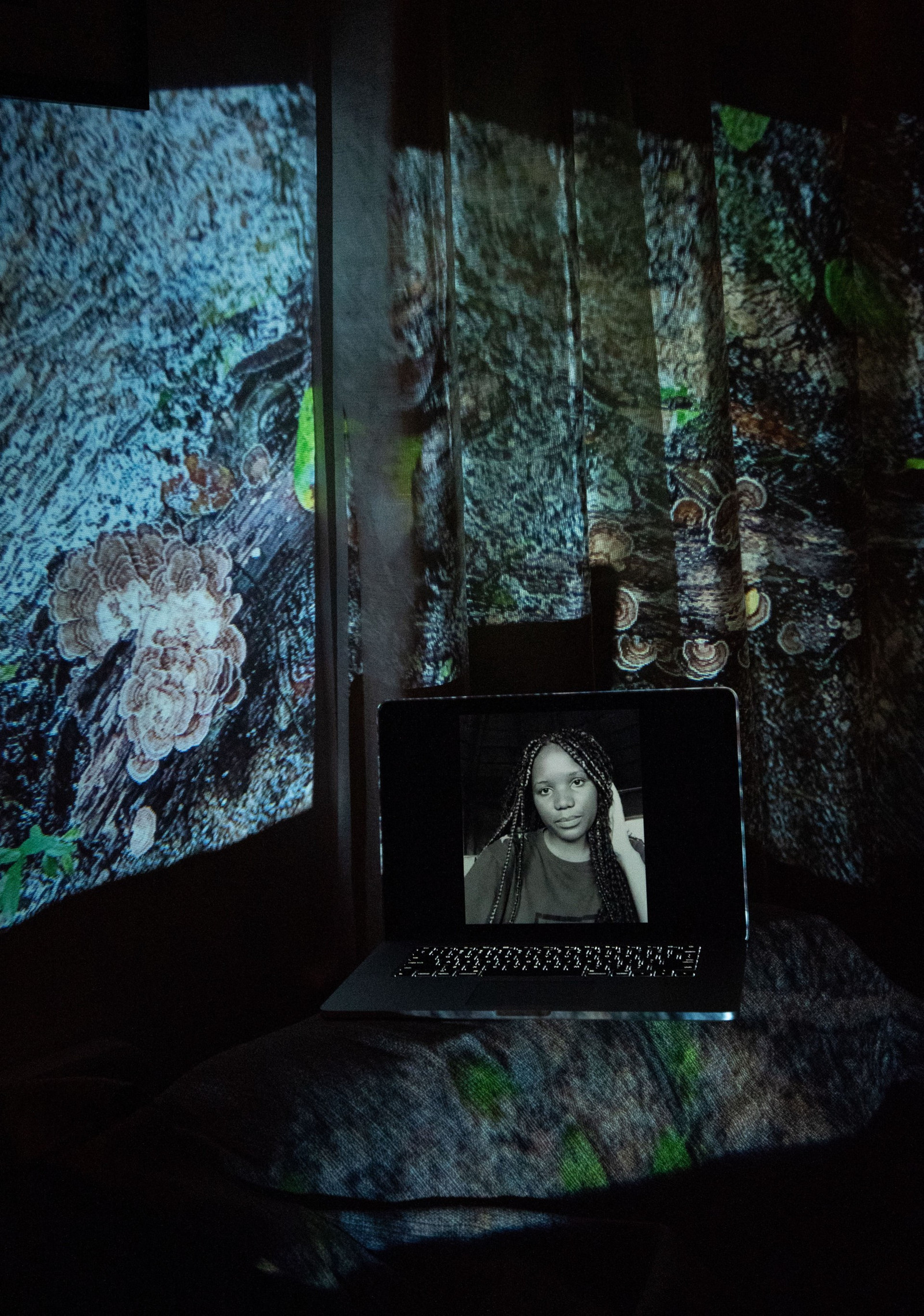 Digital portrait on a laptop screen with an image of a close-up river in motion with a few mushrooms