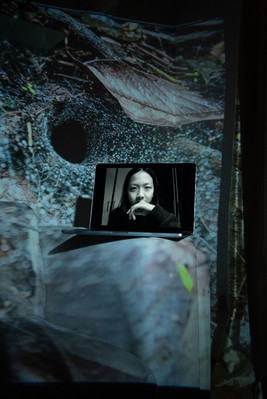 Digital portrait on a laptop screen with an image of a tarantula nest, projected into the background.