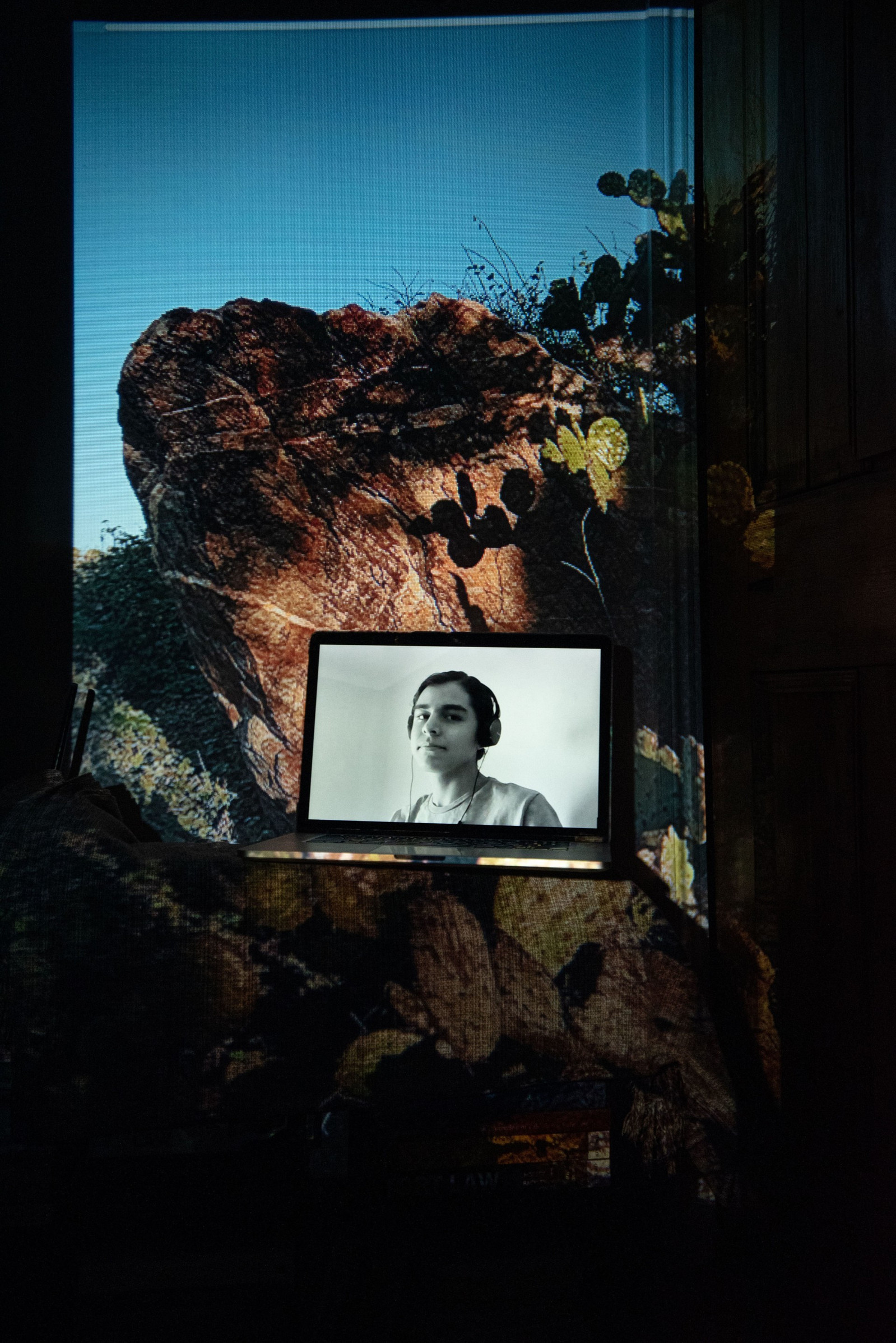 Digital portrait on a laptop screen with an image of a rock and cactus, projected into the background.