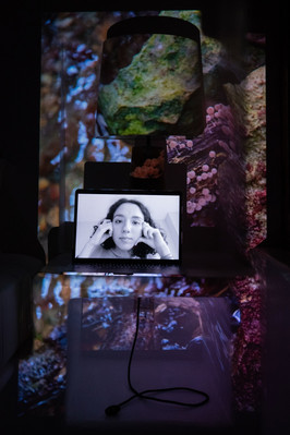 Digital portrait on a laptop screen with an image of close up rocks and water projected into the background.