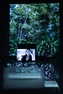 Digital portrait on a laptop screen with an image of the waterline from a flood, projected into the background.
