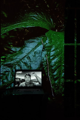 Digital portrait on a laptop screen with an image of three close-up leaves projected into the background.