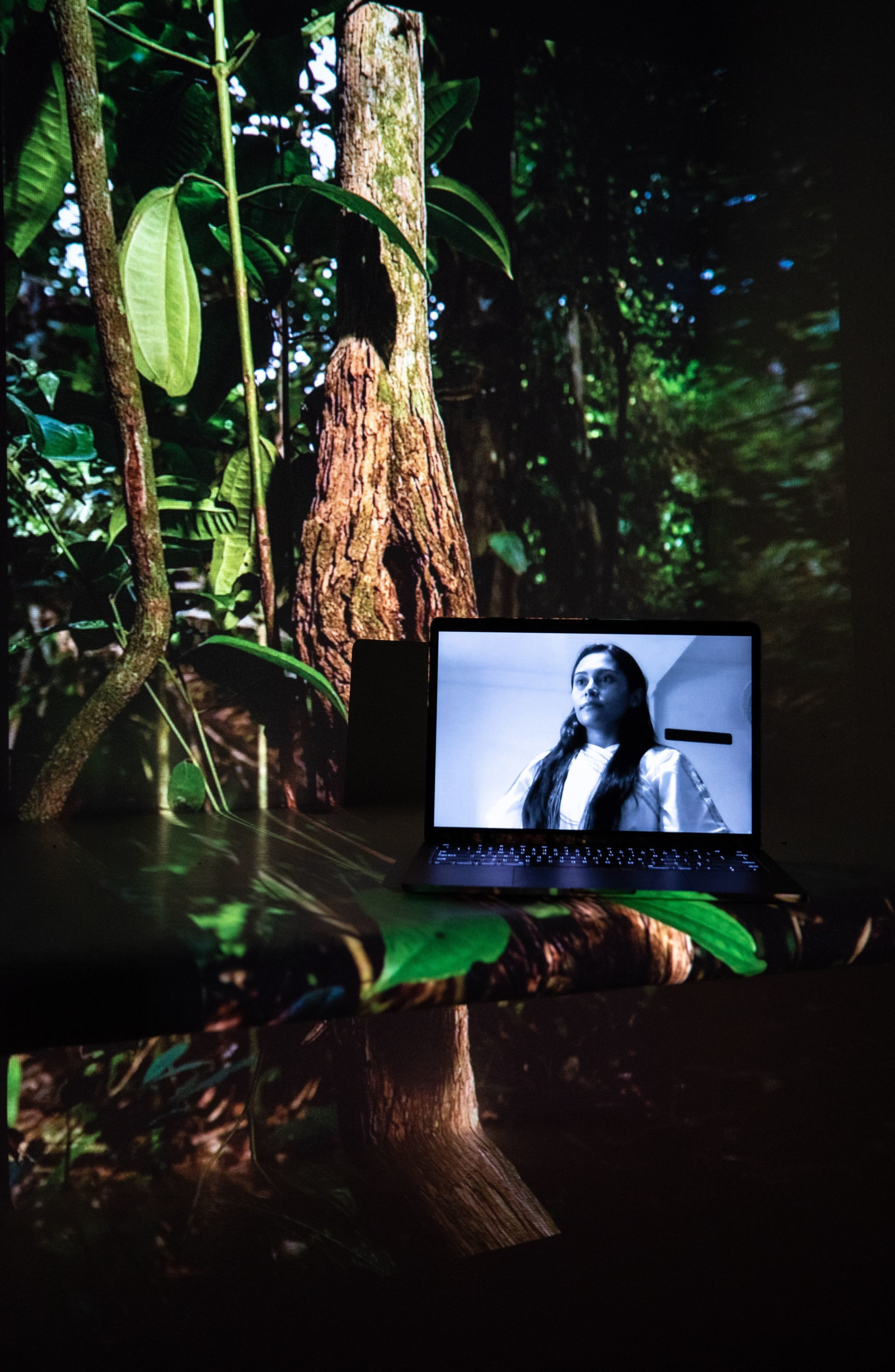 Digital portrait on a laptop screen with an image of a tree trunk projected into the background.