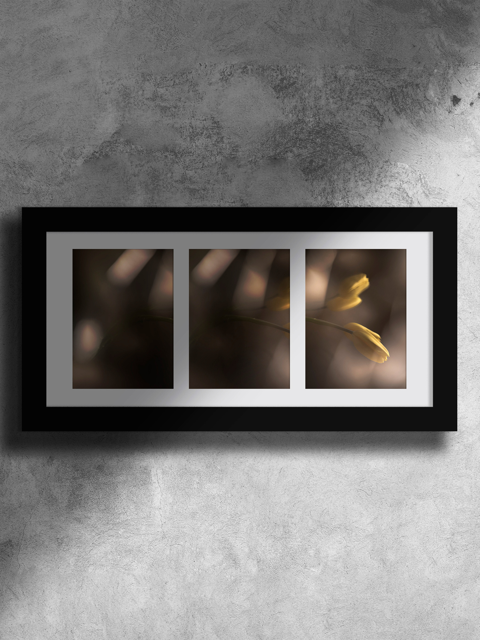 carta fine art fine art carta opaca matte cotone fotografia foto fototessera carta lucida carta fotografica carta baritata cornici passepartout cornici su misura