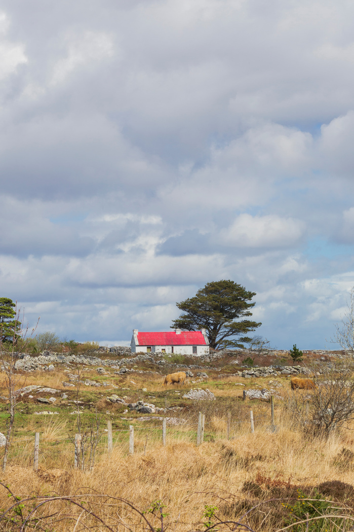 Connemara Landscape