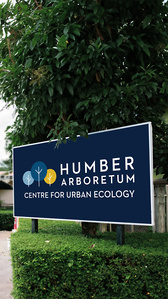 Image featuring a park entryway sign against a dark blue background with white text nestled in a bush, reading Humber Arboretum Centre for Urban Ecology.