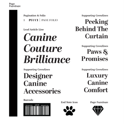 Style Guide featuring the graphic elements used throughout the making of the PUCCI zine.
