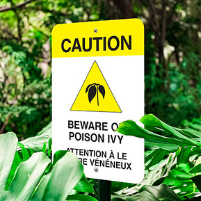 Caution Poison Ivy sign nestled among foliage and trees.