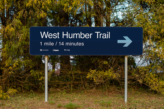 The image shows a large directional sign in a park, featuring white text and a light blue arrow on a dark blue background.