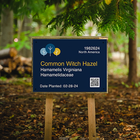 New Plant ID sign on wooden stakes with dark blue background, Humber logo, plant details, and QR code for additional info.