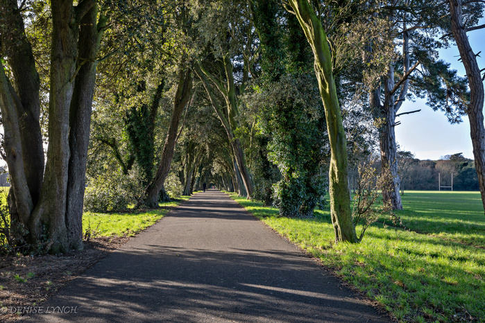 St.Anne's Park