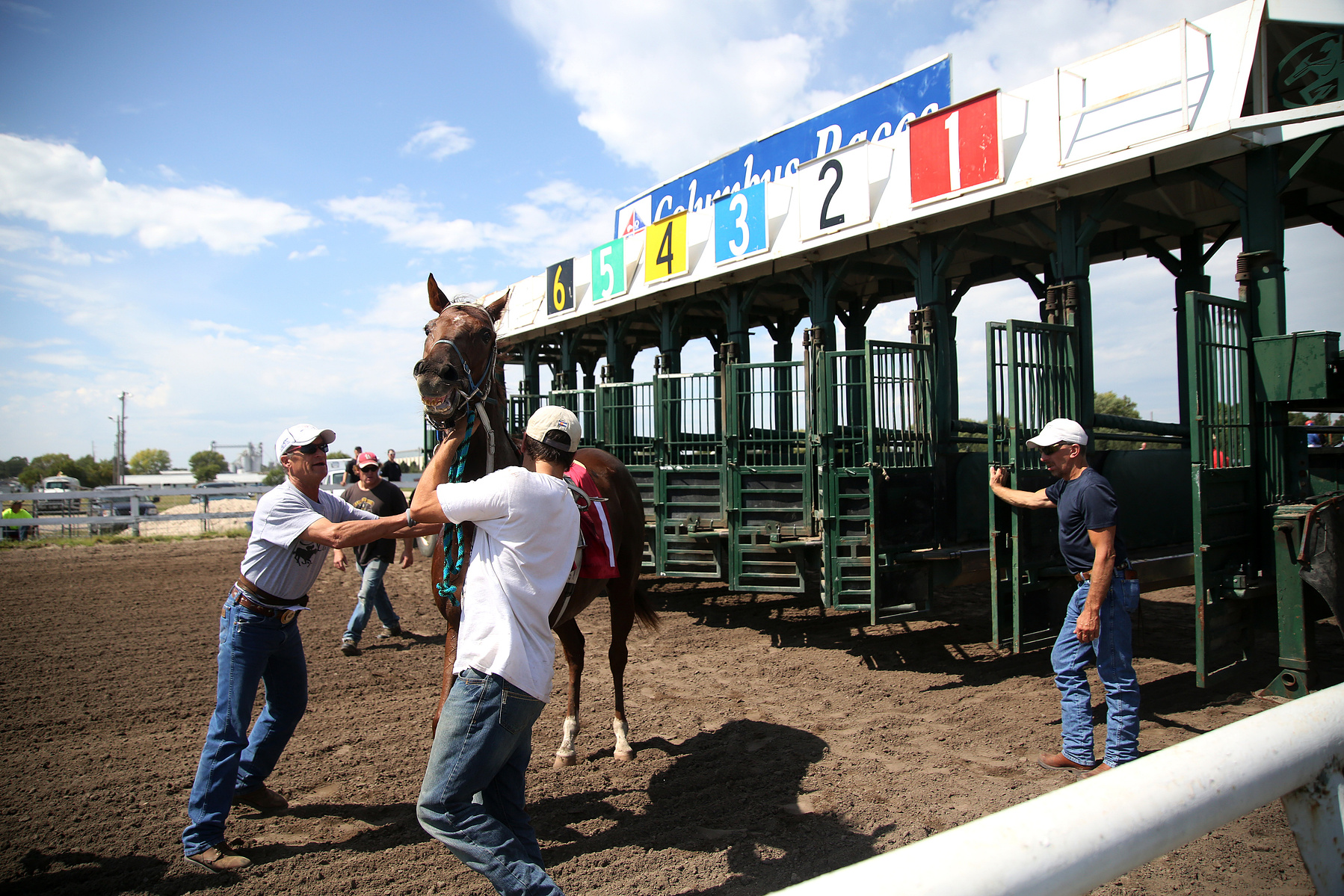 COLUMBUS, NEB - 9/6/2015 - Racing in the first post position, VanHorne's Village is backed into the first slot by the gate crew due to safety concerns for the young mare regarding previous troubles at the starting gate. JENNA VONHOFE/Lincoln Journal Star