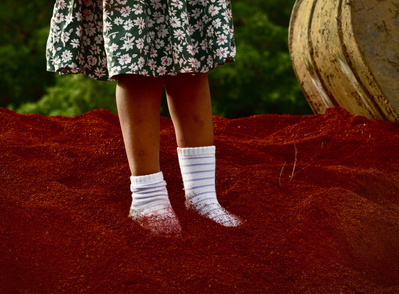 Children climb on top of a pile of dirt on Wednesday, Oct. 6, 2021, at the Cosmopolitan Park in Columbia. The dirt pile was made by a mini excavator that was featured by the event. Anastasia Busby/Missourian