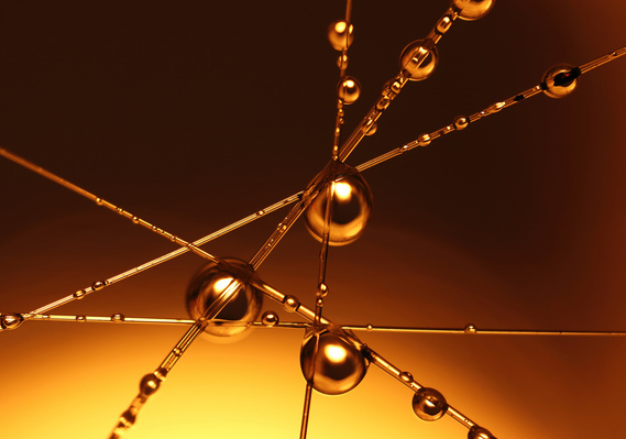 Macro photography with water drops
