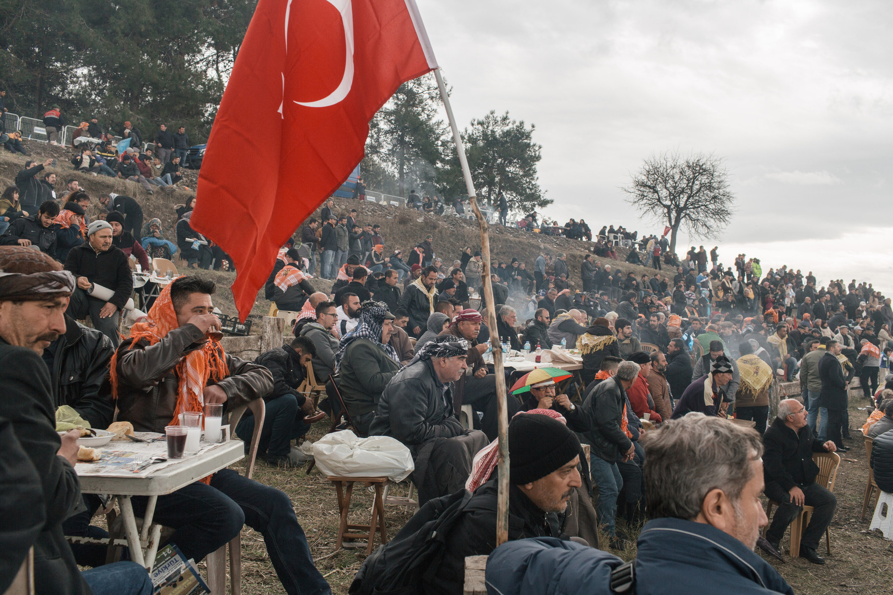 TURKEY, Izmir, Selçuk. Fans watch the 35th annual Selcuk Camel Wrestling Festival competition near Izmir, Turkey. The event usually draws large crowds of upto 20 thousand, although this year the numbers were lower due to recent security concerns and the t