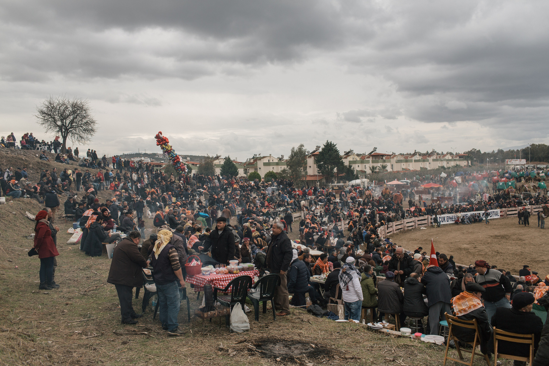 TURKEY, Izmir, Selçuk. Fans watch the 35th annual Selcuk Camel Wrestling Festival competition near Izmir, Turkey. The event usually draws large crowds of upto 20 thousand, although this year the numbers were lower due to recent security concerns and the t