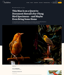 Stephanie Shih for Audubon Magazine, still life, mining the museum, museum archives, commissioned, editorial photography
