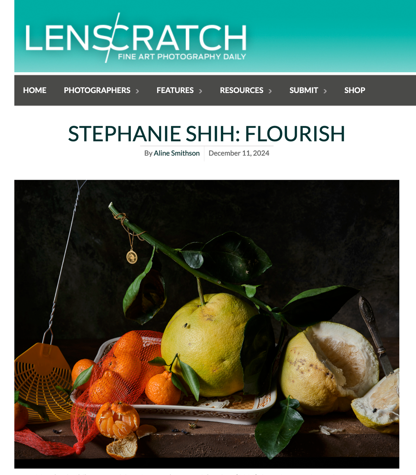 Stephanie Shih: FLOURISH, Lenscratch artist interview with Aline Smithson