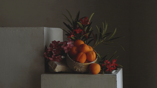 Stephanie Shih, still life, desert, food, California