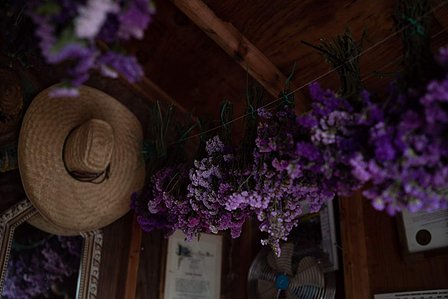 straw hat, farm, dried flowers
