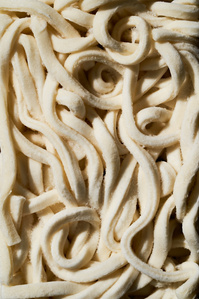 frozen udon noodles macro still life