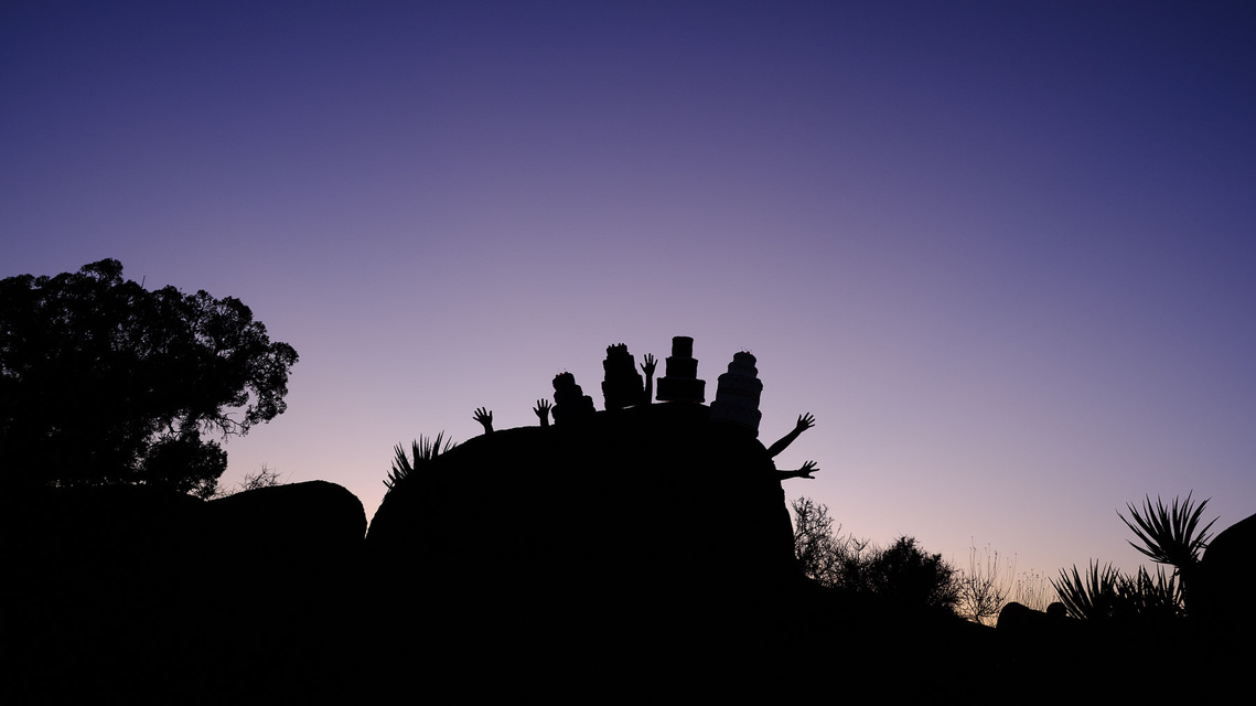 cake, desert, joshua tree, still life, spirit fingers