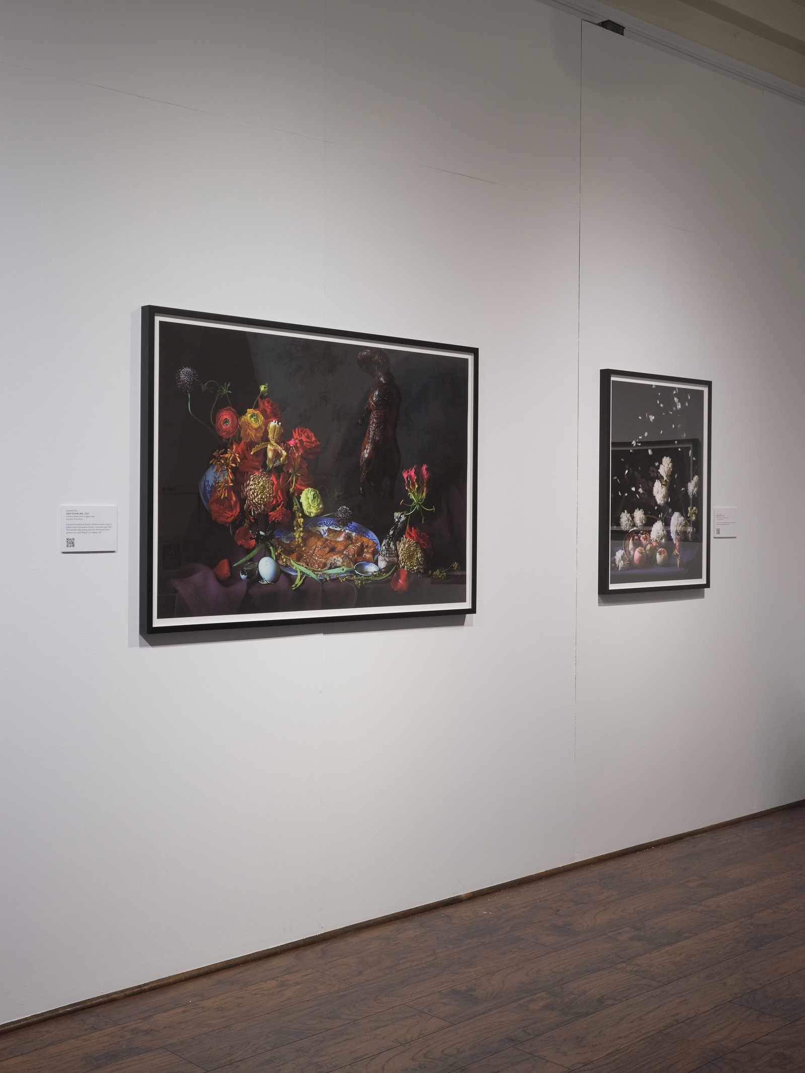 Stephanie Shih, gallery, exhibition, Open Flowers Bear Fruit, Asian American Still Life, Pacific Asia Museum