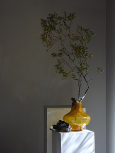 creosote, desert still life, vase, seeded glass