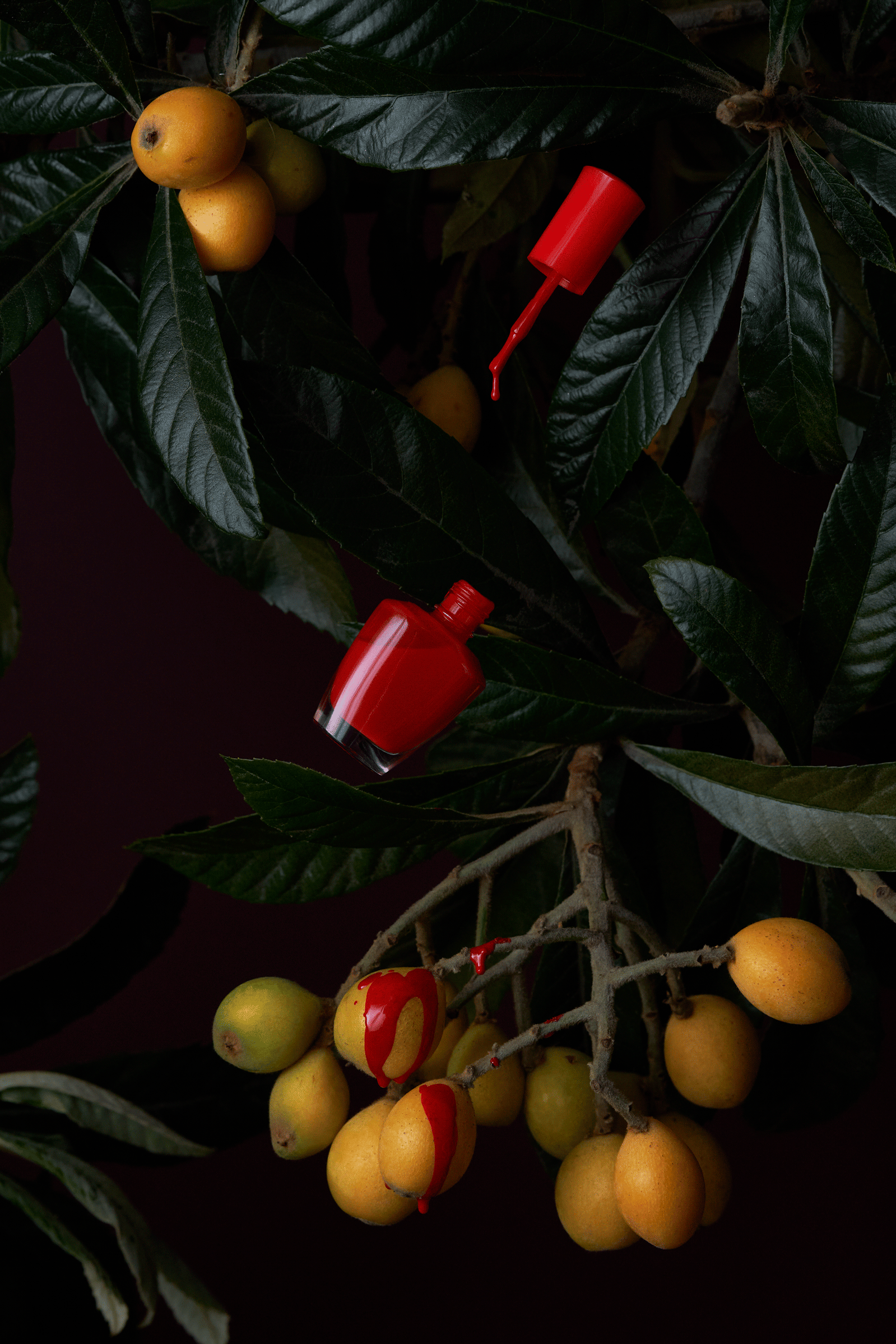 nail polish drip loquats dark still life motion product photography beauty cosmetics, los angeles product photographer